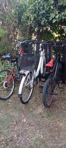 two bikes are parked next to a trailer at Ai Giorgis Beach in Alexandroupoli +24 photos