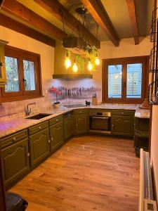 a kitchen with green cabinets and wooden floors and windows at La Belle au Bois Joli in Raon-lʼÉtape