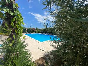 a swimming pool in the garden of a villa at Apartments Ava in Babići