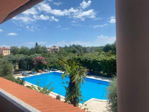 a view of a swimming pool from a balcony at Apartments Ava in Babići +7 photos