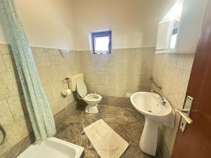 a bathroom with a toilet and a sink at Apartments Ava in Babići