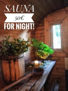 a wooden cabin with a table with plants on it at Glempings Pasaka un pirts I tent and sauna in Vecumnieki
