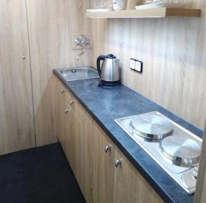 a kitchen counter with a tea kettle and a sink at Ubytování U Jindřicha ll in Weissbach +1 photo