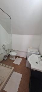 a bathroom with a toilet and a sink at STUDIO Apartman in Gheorgheni