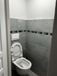 a bathroom with a toilet with the lid up at appartement 4 pers,tout confort, randonnée, vélo, nature, visite in Laveissière