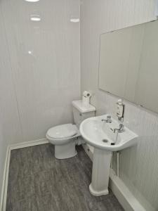 a white bathroom with a toilet and a sink at The Coastal Inn OUTBUILDING in Cellardyke +23 photos