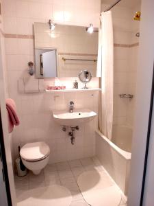 a bathroom with a toilet and a sink and a tub at Hofwiese in Hohenschwangau