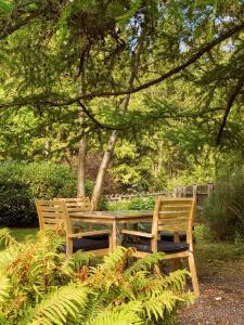 two wooden benches sitting in a park under a tree at Waldzauber am See in Clausthal-Zellerfeld