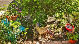 a garden with potted plants and other plants at Harmony in Sveti Vlas