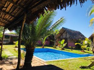 a pool in front of a house with a palm tree at Le Trou Normand in Antsiranana