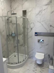 a bathroom with a shower and a toilet at Апарт-готель номер 303 in Truskavets +11 photos