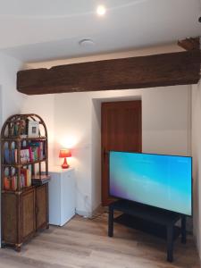 a living room with a large flat screen tv at Domaine du Riadoux in Bonneuil