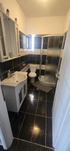 a bathroom with a sink and a toilet in it at Paula in Curtea de Argeş +41 photos