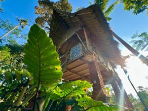 a building with a large green leafy plant in front of it at Rafka Bamboo Valley in Seribatu