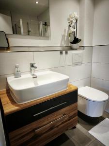a bathroom with a sink and a toilet at Ferienwohnung im Panoramaweg in Rieden +33 photos