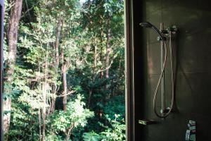 a shower in a bathroom with a view of a forest at Rainforest Retreat - Pool W Stunning Views in Redlynch