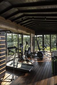 a gym with several tread machines on a wooden deck at Terre dei Ghelfi Luxury Boutique Apartments & Spa - Adults Only in Castagneto Carducci