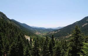 a view of a mountain valley with trees at Stemnitsa Stone Residence - Cosy Mountain Escape in Stemnitsa