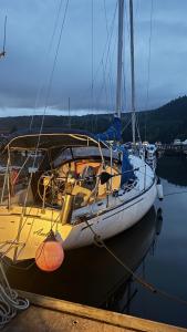 ein Segelboot, das an einem Steg im Wasser festgemacht ist in der Unterkunft Amelia in Asker