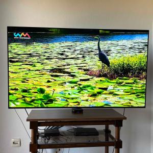 a television screen with a bird in a pond of lilies at Lavanda in Budva