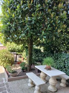 a table and two benches in front of a tree at B&B Angelo Azzurro in Carpi