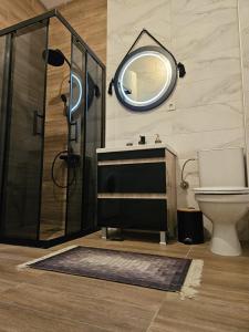 a bathroom with a shower and a toilet and a mirror at Merter Apartments in Kavadarci
