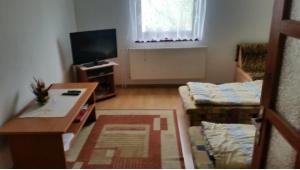 a living room with a couch and a tv at Apartmán Marcel - Súľov in Súľov