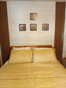 a bed with yellow sheets and three pictures on the wall at Recanto do sol in Imaruí +29 photos