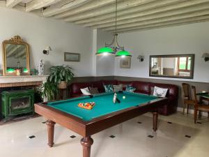 a living room with a pool table at Le Clos du Cerf in Cellettes