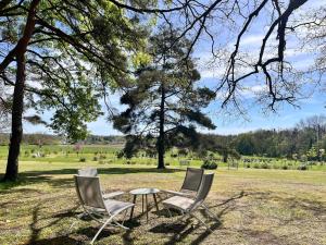 two chairs and a table in a field at Le Clos du Cerf in Cellettes +4 photos