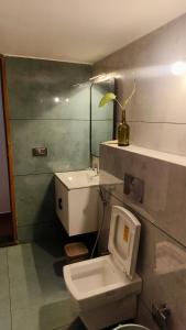 a small bathroom with a toilet and a sink at Fiddlehead Fern in Kurchi