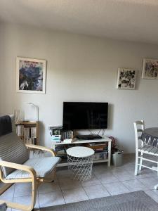 a living room with a couch and a tv at La Paloma in Aigues-Mortes