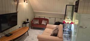 a living room with a couch and a tv at Starlette MelleRosePlace bij Cécile in Hoeksken