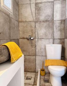 a bathroom with a toilet and a shower at Zacharias Seaside Studio Kimolos in Kimolos +14 photos