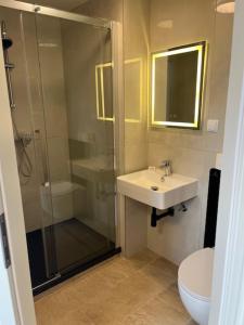 a bathroom with a shower and a sink and a toilet at Hotel Ruble in Homburg