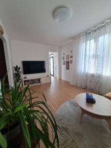 a living room with a tv and a table and a plant at Casa Timavo in Ronchi dei Legionari