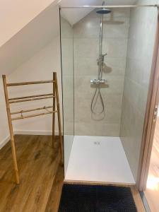a shower with a glass door in a room at Le Balcon de Narlay in Le Frasnois