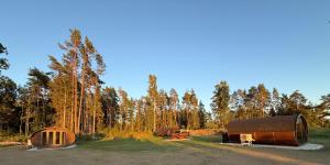 a group of structures in a field with trees at Log Off Männivälja forest cabins in Odulemma +10 photos