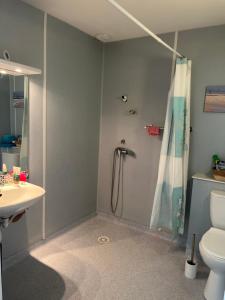 a bathroom with a shower and a toilet and a sink at val Queven in Quéven