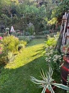 a garden with many different types of flowers at Casa Santa in Sighişoara