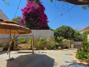 a chair under an umbrella in a yard at הבקתות במושבה in Rosh Pinna +3 photos