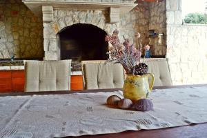 Gallery image of Yellow Villa in Ugljan