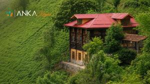 a house with a red roof on a hill at Anka Köy Evi in Çamlıhemşin