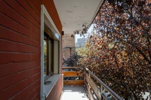 a balcony of a house with a window and a tree at Buff Hostel Tirana in Tirana