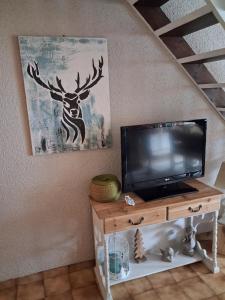 a tv sitting on a table in a room at Hameau des Granges in Bourisp