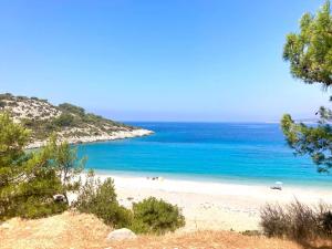 a beach with blue water and trees on a hill at Avgonima Joy Medvial Suite in Chios +25 photos