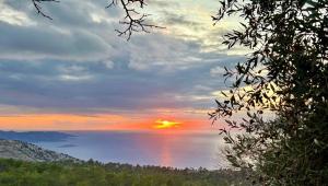 a sunset over the water with trees in the foreground at Avgonima Joy Medvial Suite in Chios
