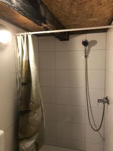 a shower in a bathroom with a shower curtain at Käpt`n Jensens Kajüte in Meißen +63 photos