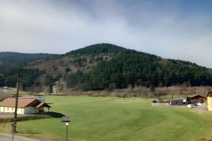 a large green field with a mountain in the background at Gîte de montagne in Ventron