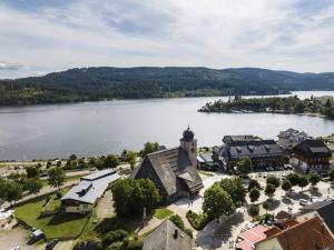 an aerial view of a small town next to a lake at Schwarzwaldglück 2 Einheiten in St. Blasien